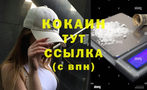 СК Алзамай