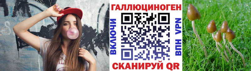 kraken как зайти  Ядрин  Псилоцибиновые грибы прущие грибы 