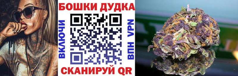 закладка  OMG зеркало  Бошки марихуана SATIVA & INDICA  Ядрин 